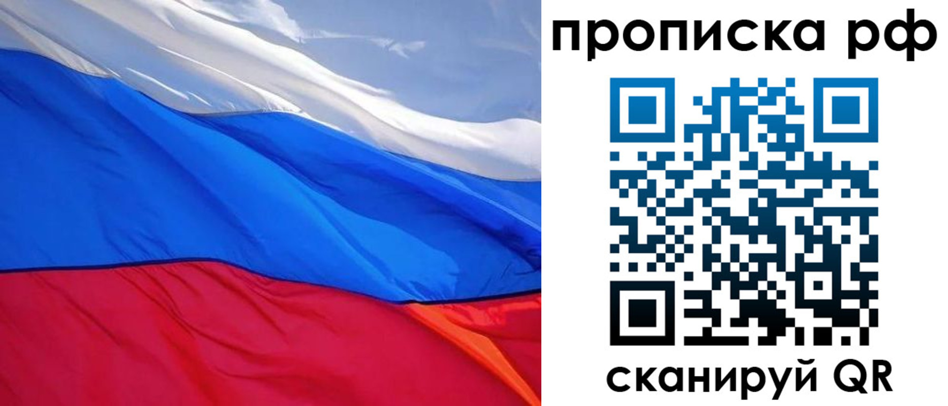 найти адрес прописки в Электрогорске